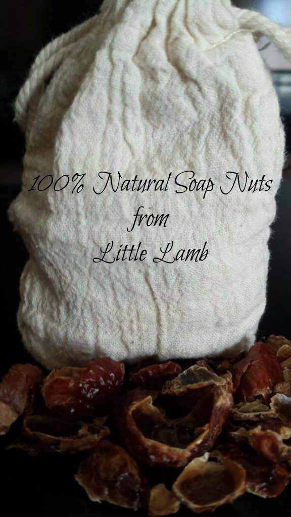 Soap Nuts